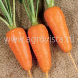 Семена моркови Болтекс (500г)