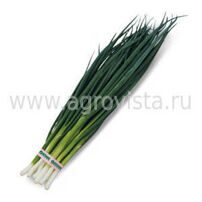 Семена лука на перо Вулкан (100г) (просроч.)