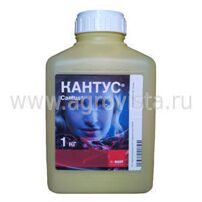 Фунгицид Кантус (1кг)