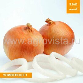 Семена лука репч. Универсо F1 (1000000шт)