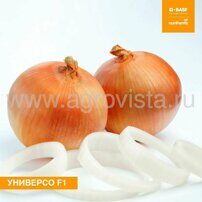 Семена лука репч. Универсо F1 (1000000шт)