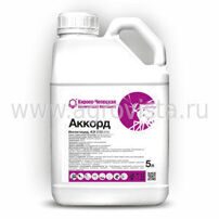 Инсектицид Аккорд (5л)