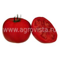 Семена томата дет. TMAE 683 F1 (1000шт)