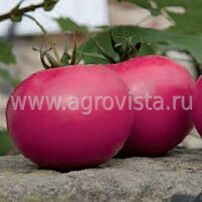 Семена томата индет. Фенда F1 роз. (250шт)