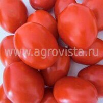 Семена томата дет. Платон F1 (5000шт)