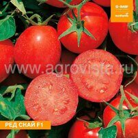 Семена томата дет. Ред Скай F1 (1000шт)