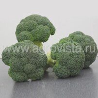 Семена брокколи Корос F1 (2500шт)