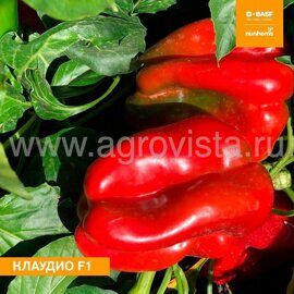 Семена перца сладкого Клаудио F1 (1000шт)